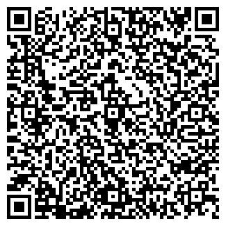 QR-код с контактной информацией организации Автосервис на Боровой, 65а