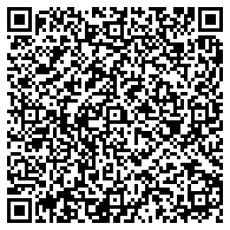 QR-код с контактной информацией организации Мир