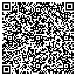 QR-код с контактной информацией организации Кью Лайк