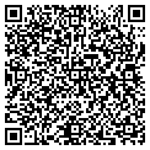 QR-код с контактной информацией организации ПИЦЦА МЕТРО