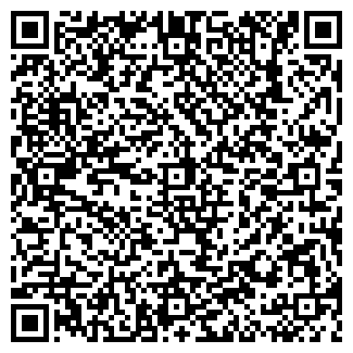 QR-код с контактной информацией организации Алина