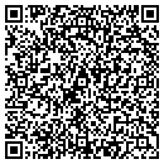 QR-код с контактной информацией организации 3 шампура