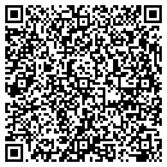 QR-код с контактной информацией организации Светлана