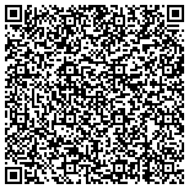 QR-код с контактной информацией организации Детская школа искусств №1 им. Т.П. Николаевой