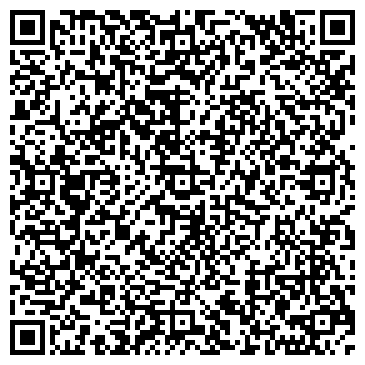 QR-код с контактной информацией организации Детская школа искусств №3 им. Г.В. Свиридова