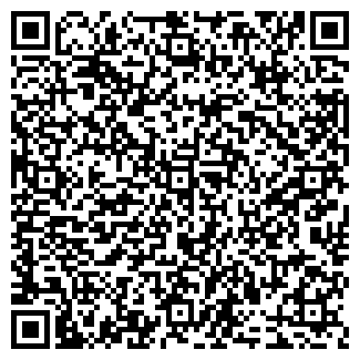 QR-код с контактной информацией организации Чили