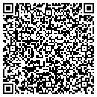 QR-код с контактной информацией организации Элен-графиня