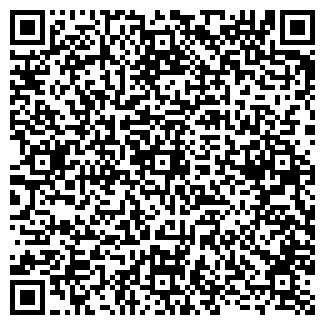 QR-код с контактной информацией организации АЗС, ООО Петрол-Сервис, №3