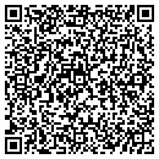 QR-код с контактной информацией организации Чили