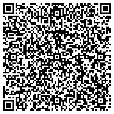 QR-код с контактной информацией организации Детско-юношеская шахматная школа