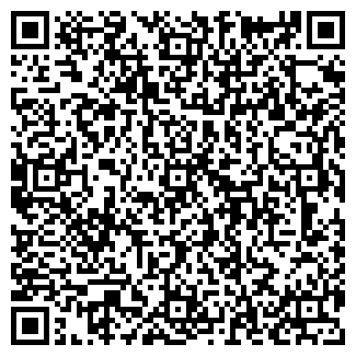 QR-код с контактной информацией организации ИП Невзоров В.С.