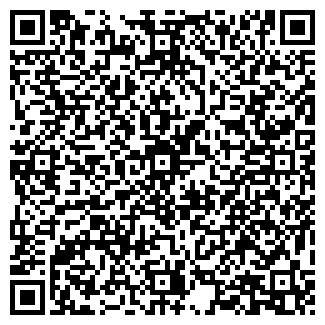 QR-код с контактной информацией организации Pavlin
