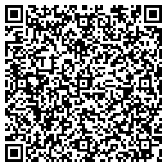 QR-код с контактной информацией организации Bazar