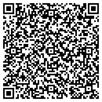 QR-код с контактной информацией организации DENRI