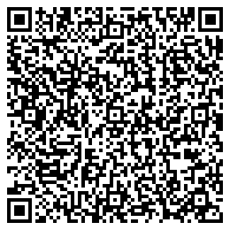 QR-код с контактной информацией организации Шалунья