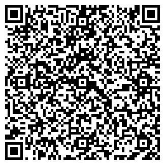 QR-код с контактной информацией организации Влади, бар