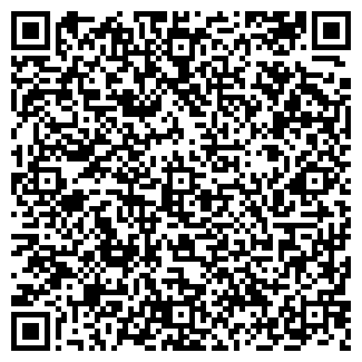 QR-код с контактной информацией организации Автомойка на Огородной, 2а