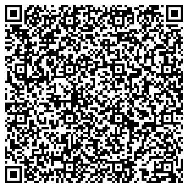 QR-код с контактной информацией организации Детский сад №219, Кораблик, комбинированного вида