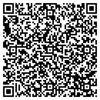 QR-код с контактной информацией организации Mafia