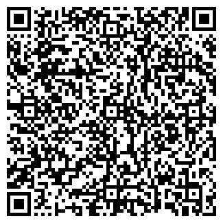 QR-код с контактной информацией организации Светлана, магазин продуктов