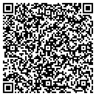 QR-код с контактной информацией организации Максим, продуктовый магазин