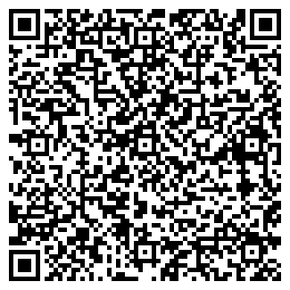QR-код с контактной информацией организации Леди Беларусь