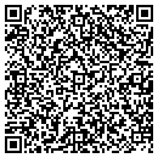 QR-код с контактной информацией организации ИП Гайденко О.К.
