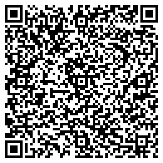 QR-код с контактной информацией организации Torgdrom.ru