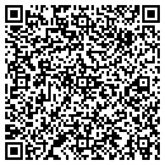 QR-код с контактной информацией организации Sтихия