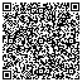 QR-код с контактной информацией организации Лиза