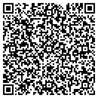 QR-код с контактной информацией организации ИП Амаев А.И.