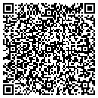 QR-код с контактной информацией организации ИП Шестаков В.Н.