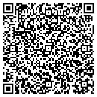 QR-код с контактной информацией организации Алина