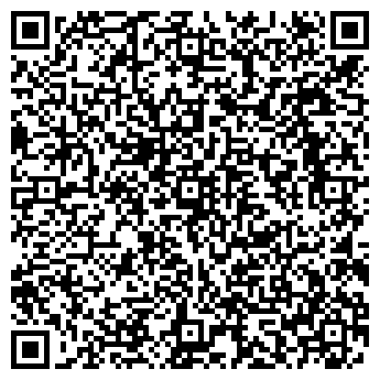 QR-код с контактной информацией организации Blinki