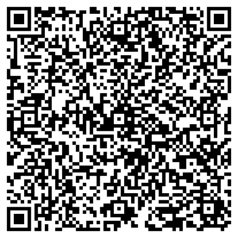 QR-код с контактной информацией организации Nico Pizza
