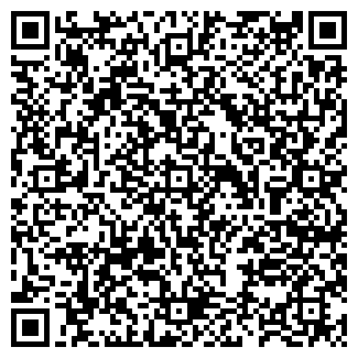 QR-код с контактной информацией организации ИП Мингалёва О.В.