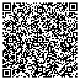 QR-код с контактной информацией организации ООО Блиц Фасад