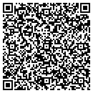 QR-код с контактной информацией организации Алина