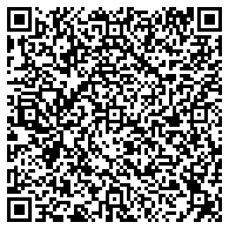 QR-код с контактной информацией организации ИП Ефремов Н.Н.