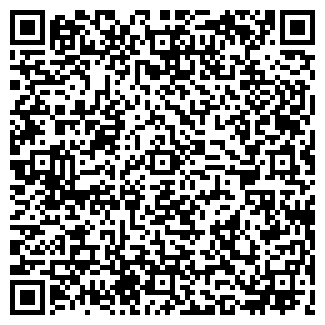 QR-код с контактной информацией организации № 124 ВИТА