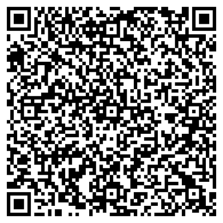 QR-код с контактной информацией организации Russgo.com