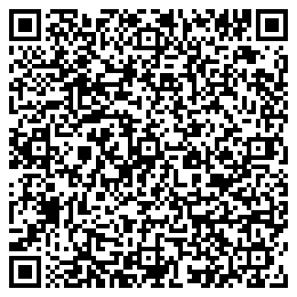 QR-код с контактной информацией организации Селена