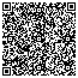 QR-код с контактной информацией организации ДОМИНО ООО