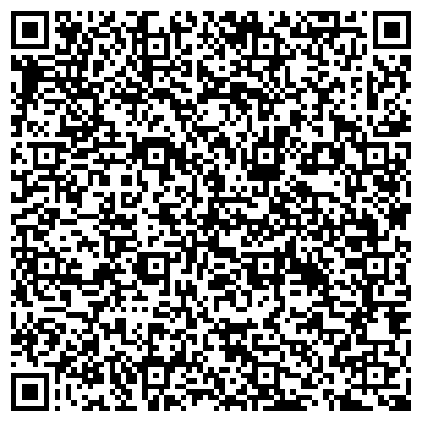 QR-код с контактной информацией организации ДЕТСКАЯ ШКОЛА ИСКУССТВ