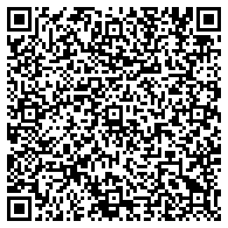 QR-код с контактной информацией организации ИП Старых Т.А.
