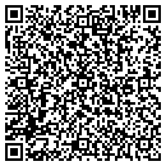 QR-код с контактной информацией организации ИП Плюто Т.Ш.