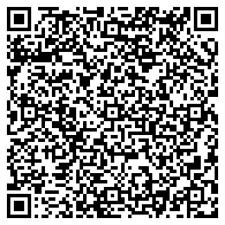 QR-код с контактной информацией организации Шиномонтажная мастерская