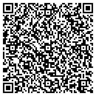 QR-код с контактной информацией организации GEISHA