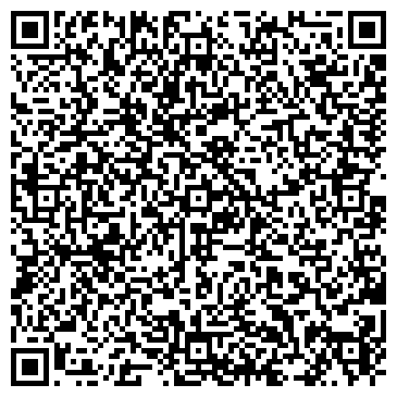 QR-код с контактной информацией организации NSP, торговая компания, представительство в г. Омске
