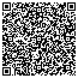 QR-код с контактной информацией организации ИП Мусинова В.А.